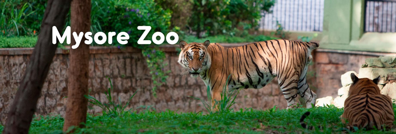 Mysore Zoo